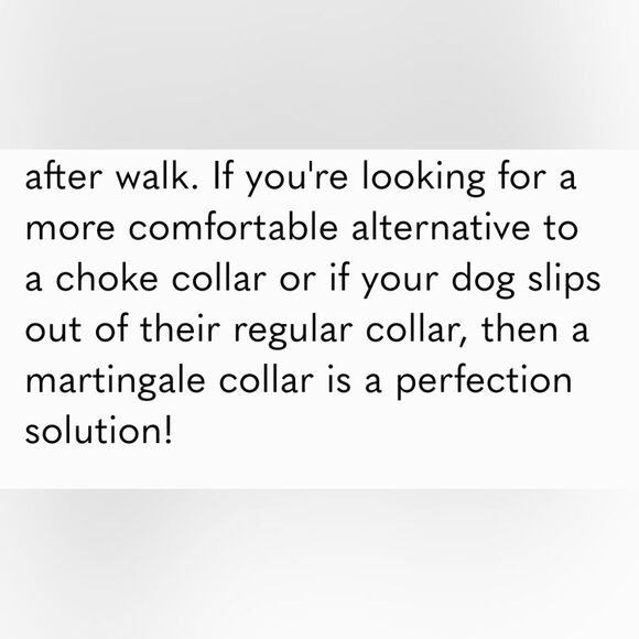 NEW Alcott Martingale Dog Collar Large Blue Reflective Stitching Neoprene - Picture 10 of 10